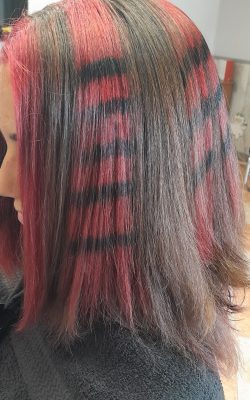 MECHAS RACOON TAIL MECHAS RACOON TAIL